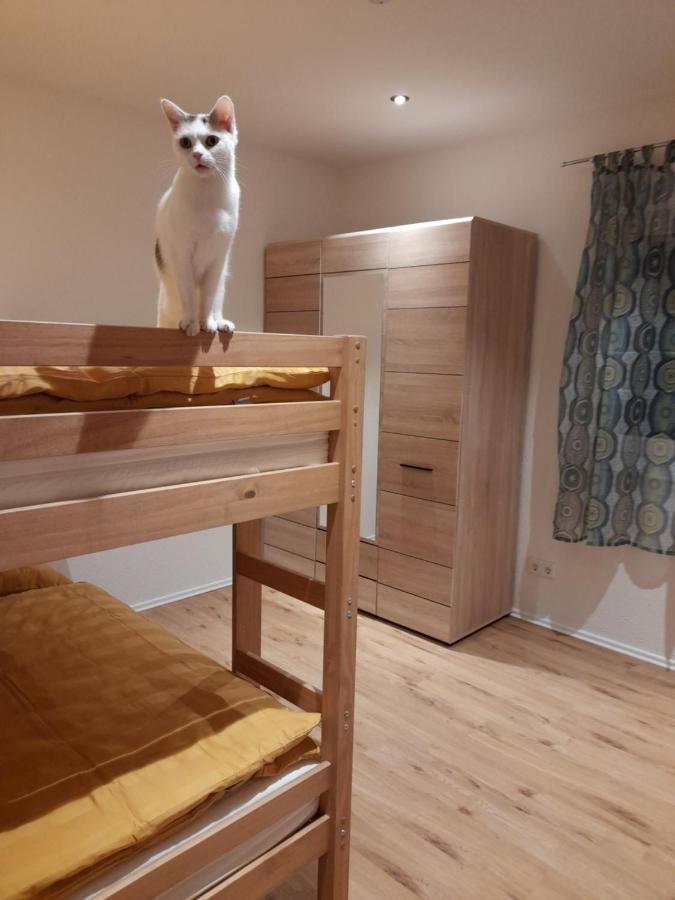 Apartmán Traubshof Ochsenhausen Exteriér fotografie
